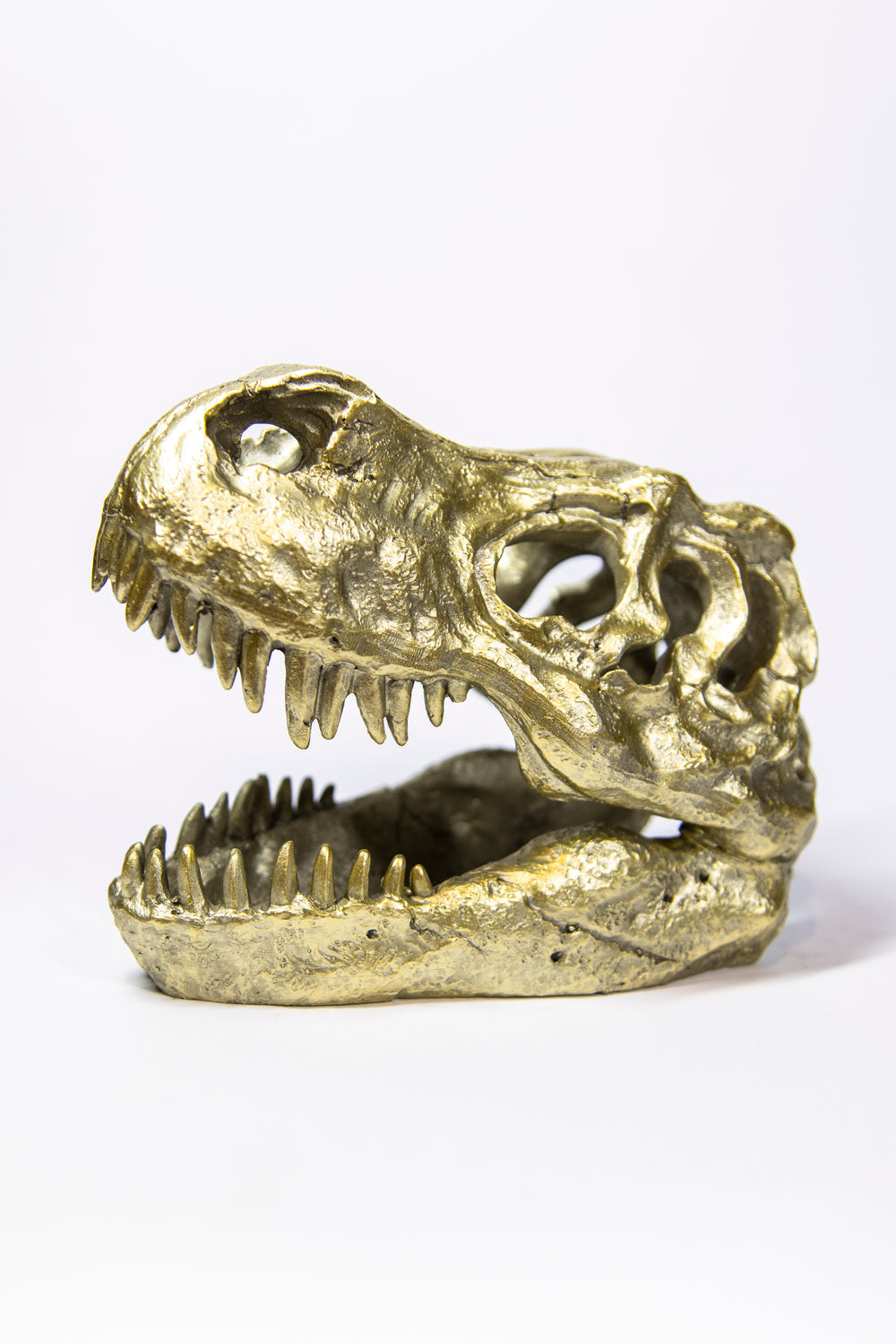 T-Rex Head Gold